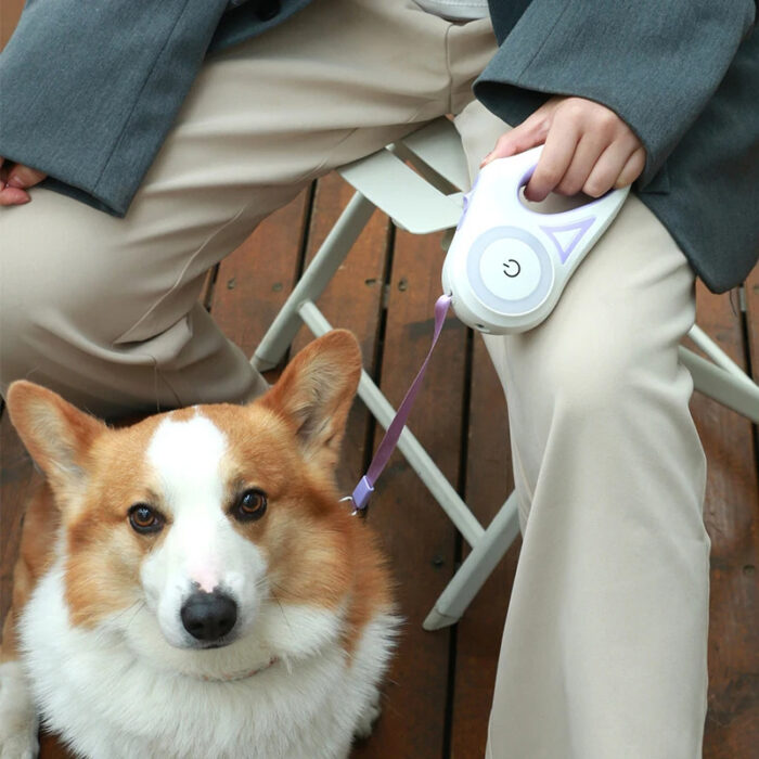Fantastic Dog Leash With Built-in Spotlight For Extra Safety - Image 2