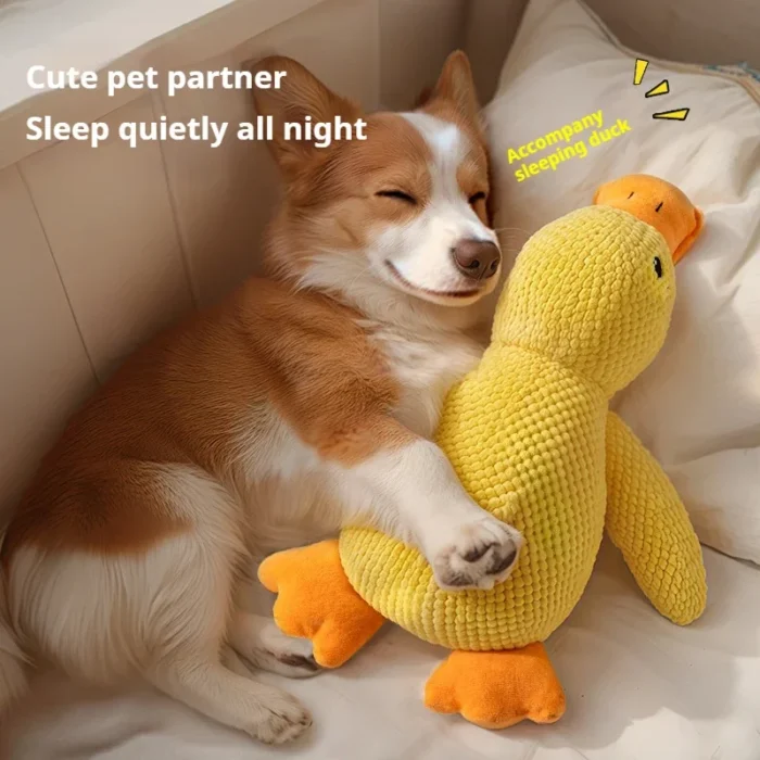 Calming Duck