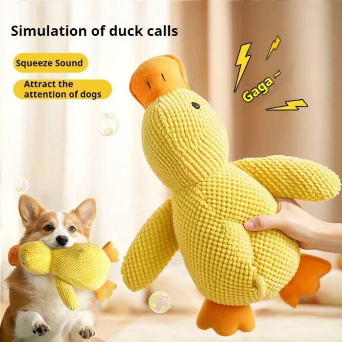 Calming Duck - Image 4