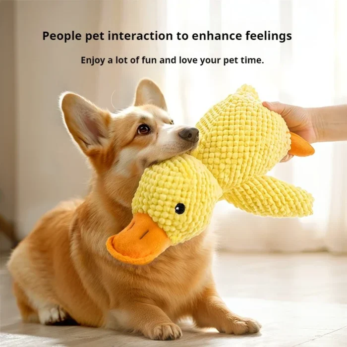 Calming Duck - Image 2