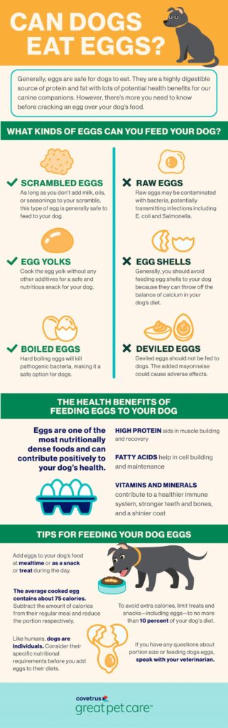 Can Dogs Eat Eggs