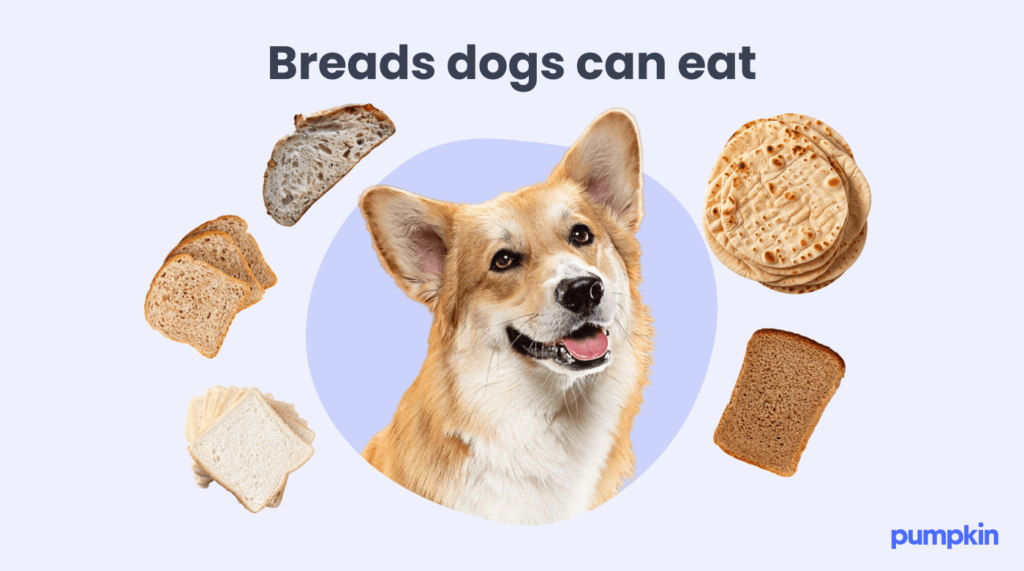 Can Dogs Eat Bread