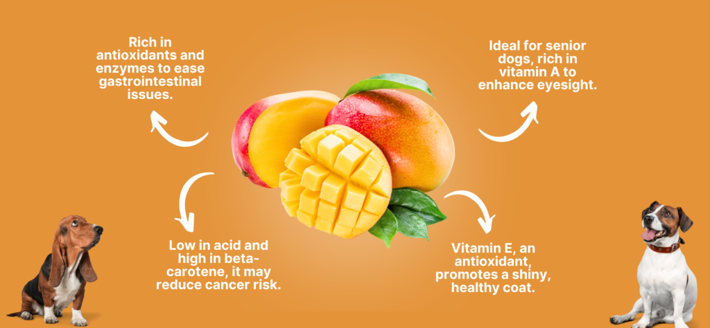 Can Dogs Eat Mango