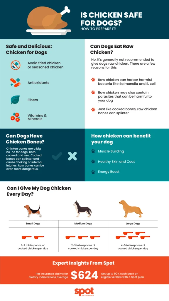 Can Dogs Eat Raw Chicken