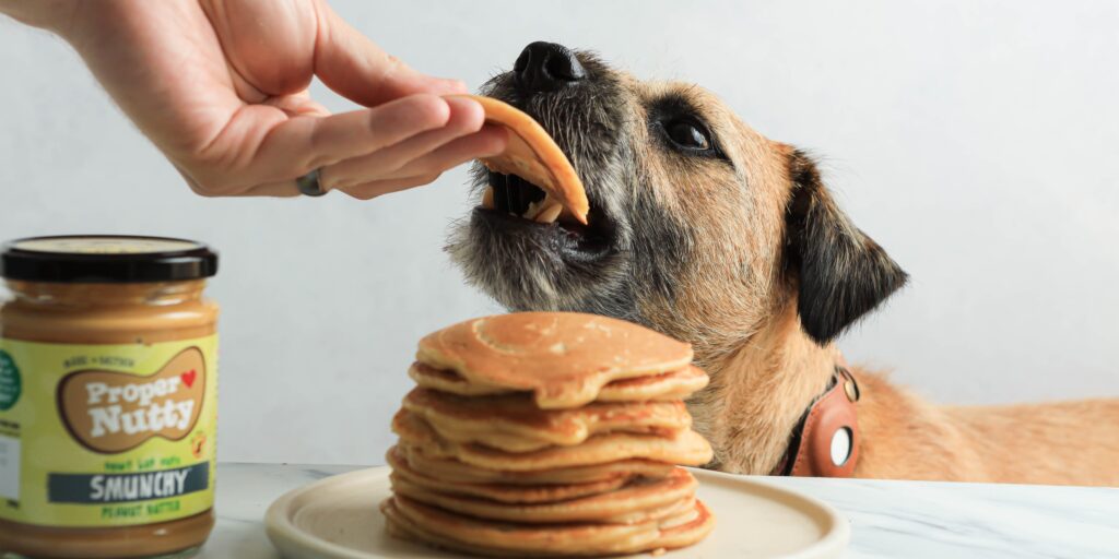 Can Dogs Eat Pancakes