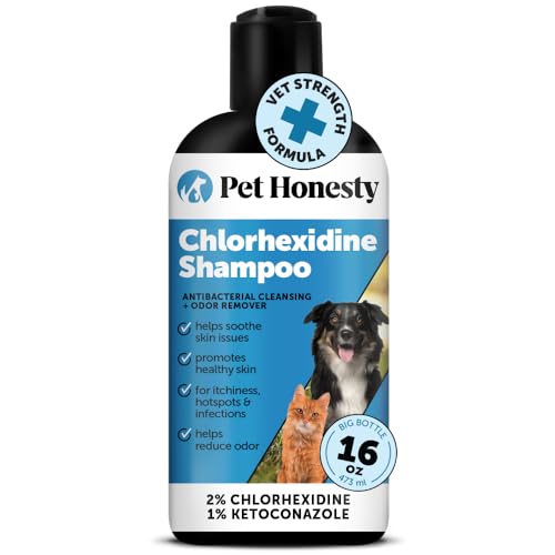 Best Allergy Shampoo for Dogs