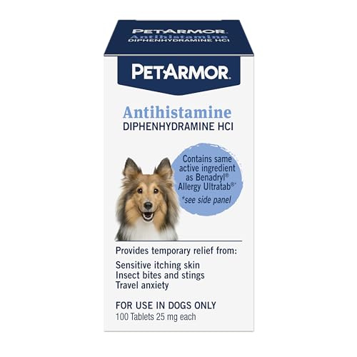 Best Antihistamine for Dogs With Skin Allergies