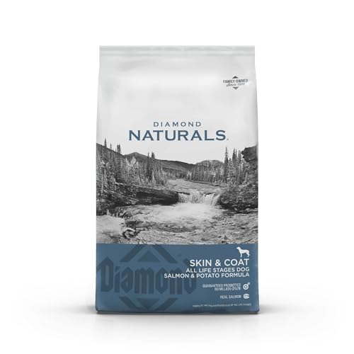 Best Dog Food for Skin Allergies