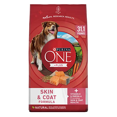 Best Pet Food for Dogs With Skin Allergies