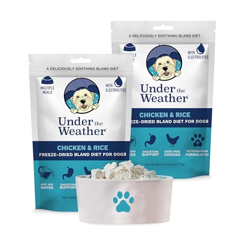 Can Dogs Have Brown Rice